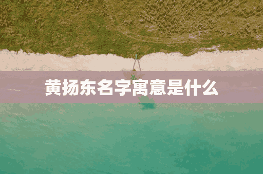 黄扬东名字寓意是什么(黄扬东名字寓意是什么意思)